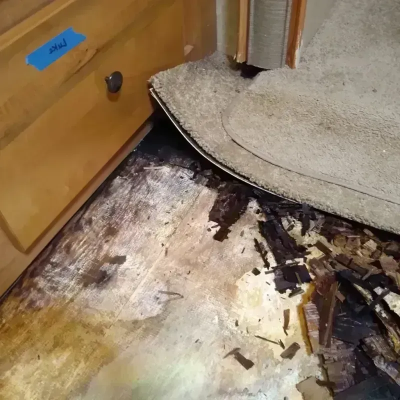 Wood Floor Water Damage in Miami Springs, FL